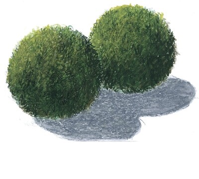 Mossboll S