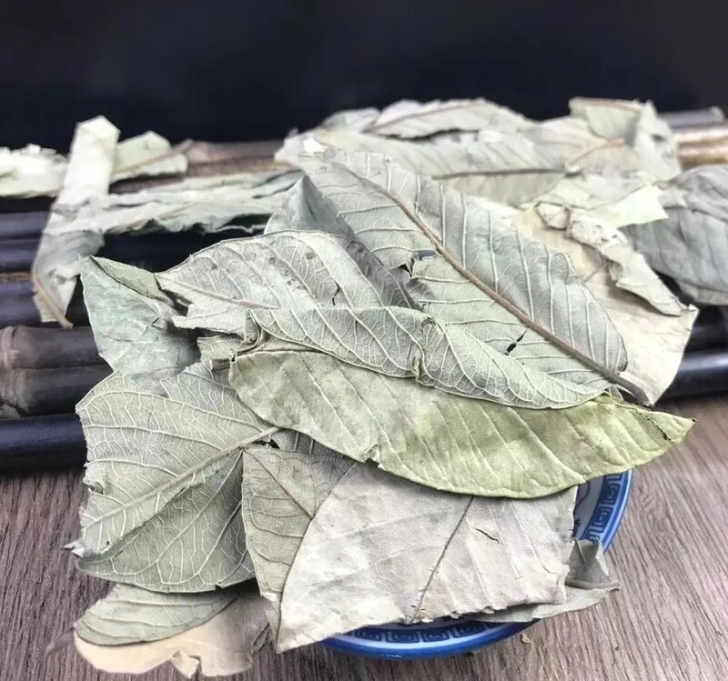 Guava löv