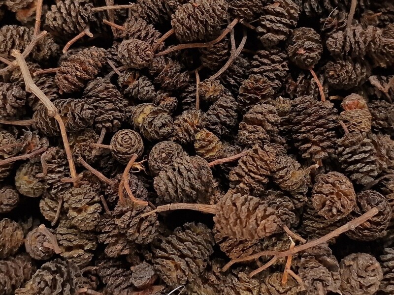 Alkottar