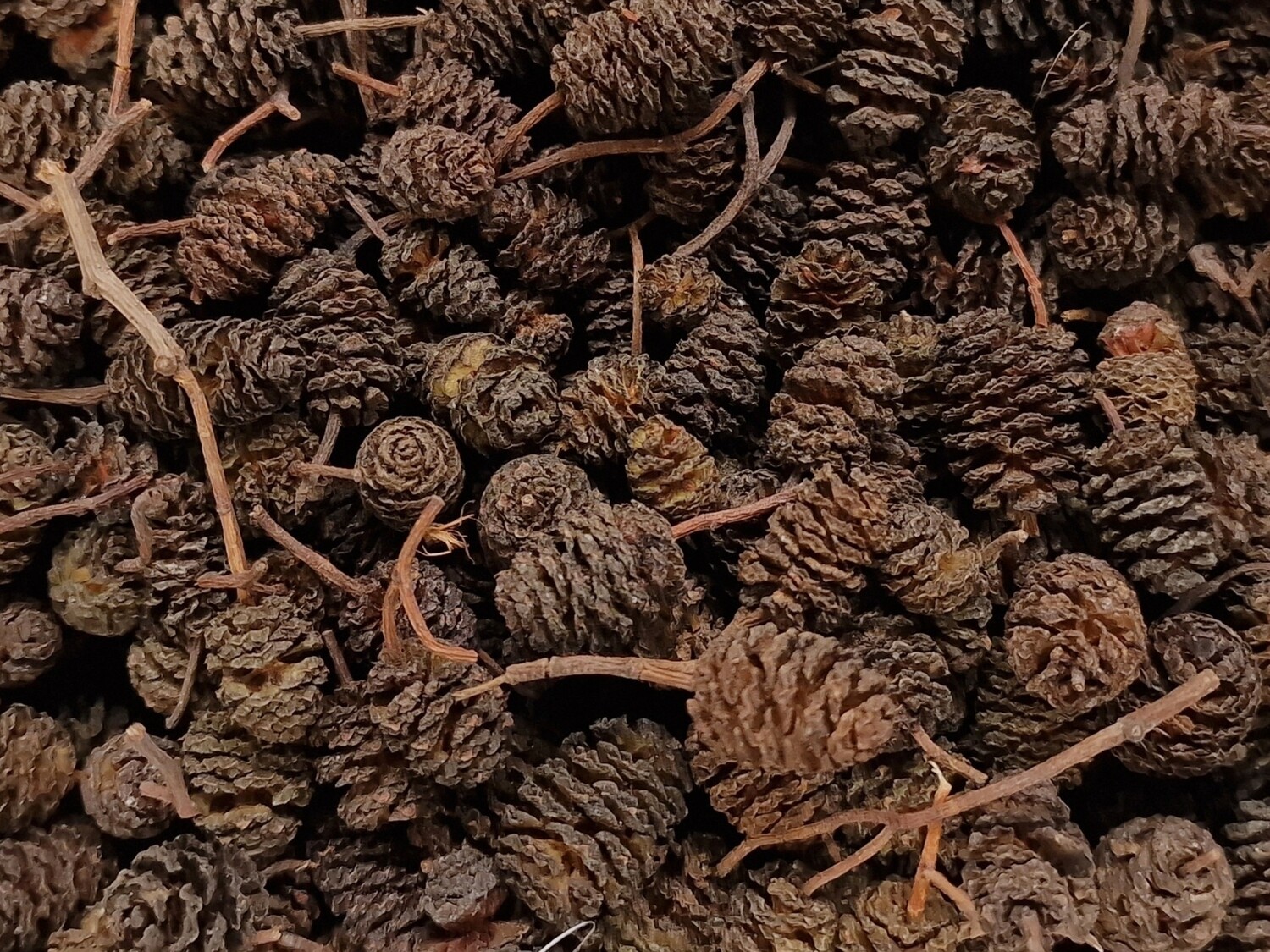 Alkottar