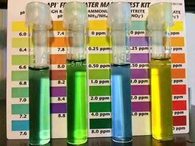 Tester