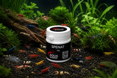 Spenat 20g