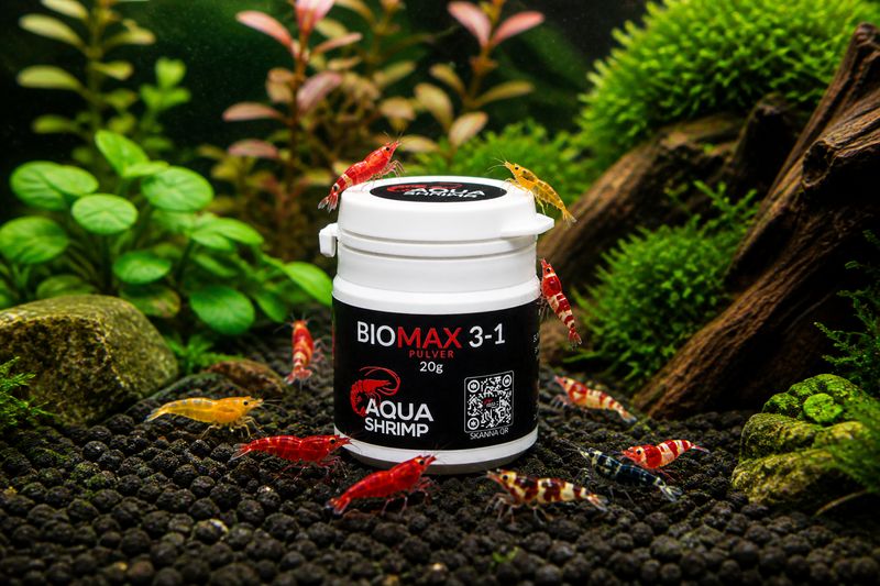 BioMax 3-1