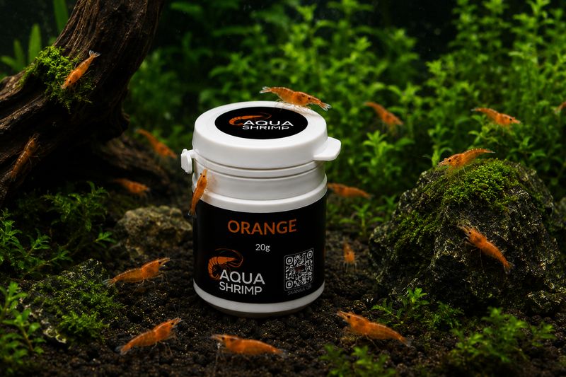 Orange - Pigmentfoder