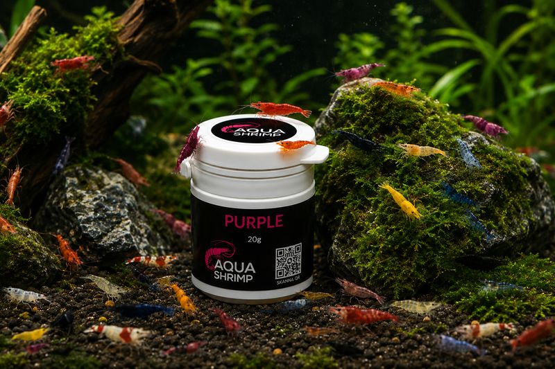 Purple - Pigmentfoder