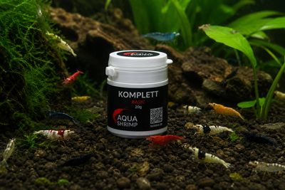 Komplett Basic