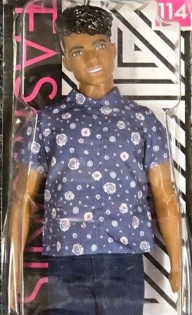 Fashionistas # 114