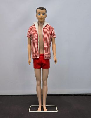 Ken Painted hair