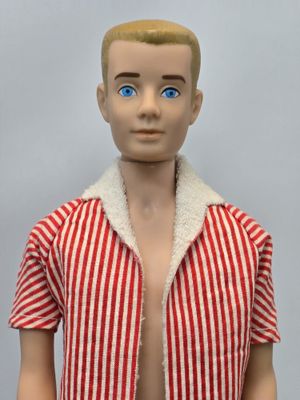 Ken Painted Hair