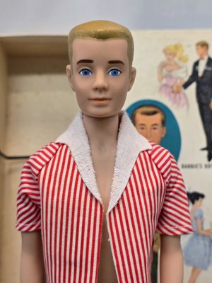 Ken Painted Hair