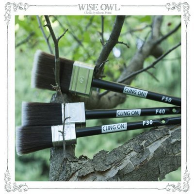 Cling On! Paint Brushes