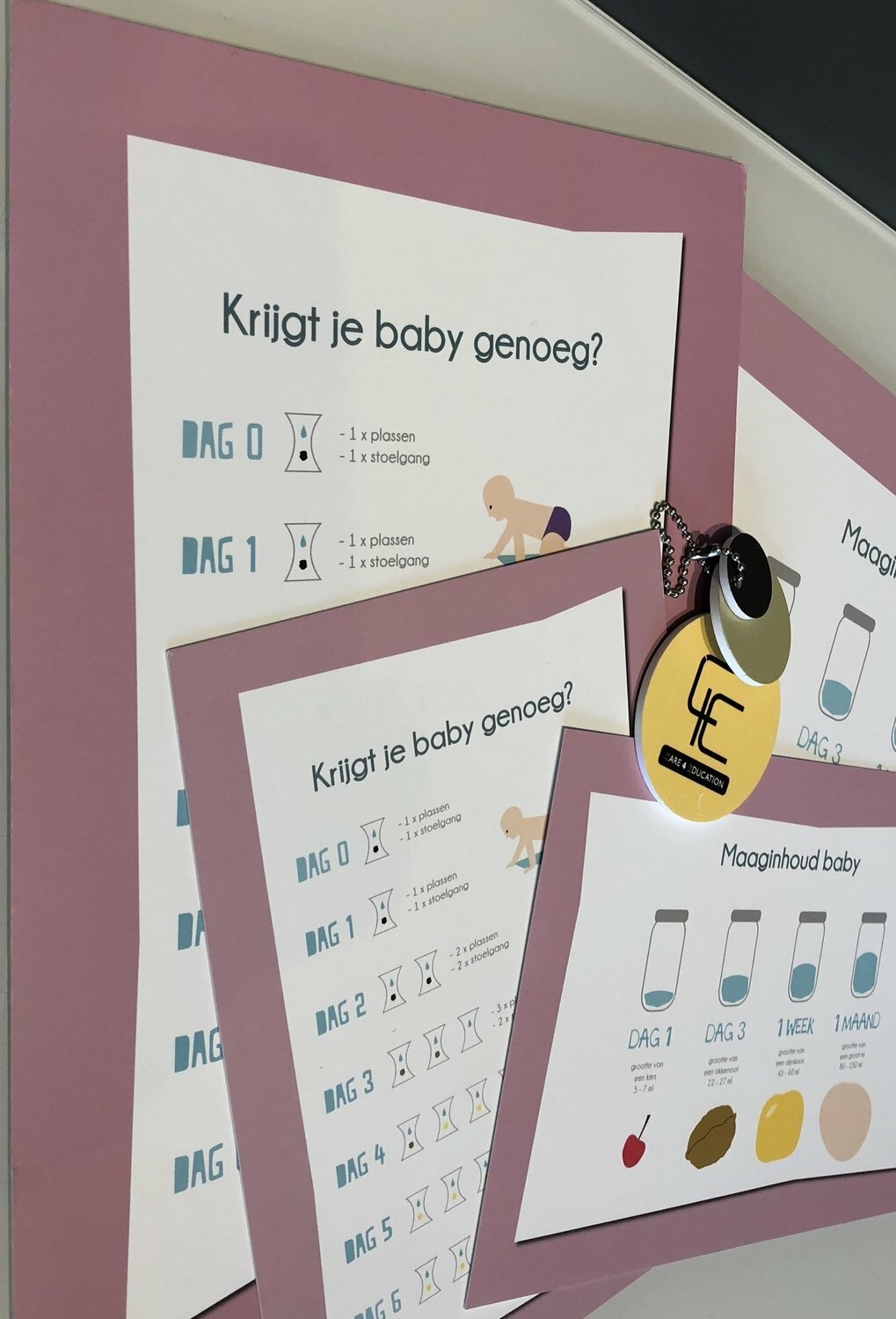 Basis infoset 'starten met borstvoeding'