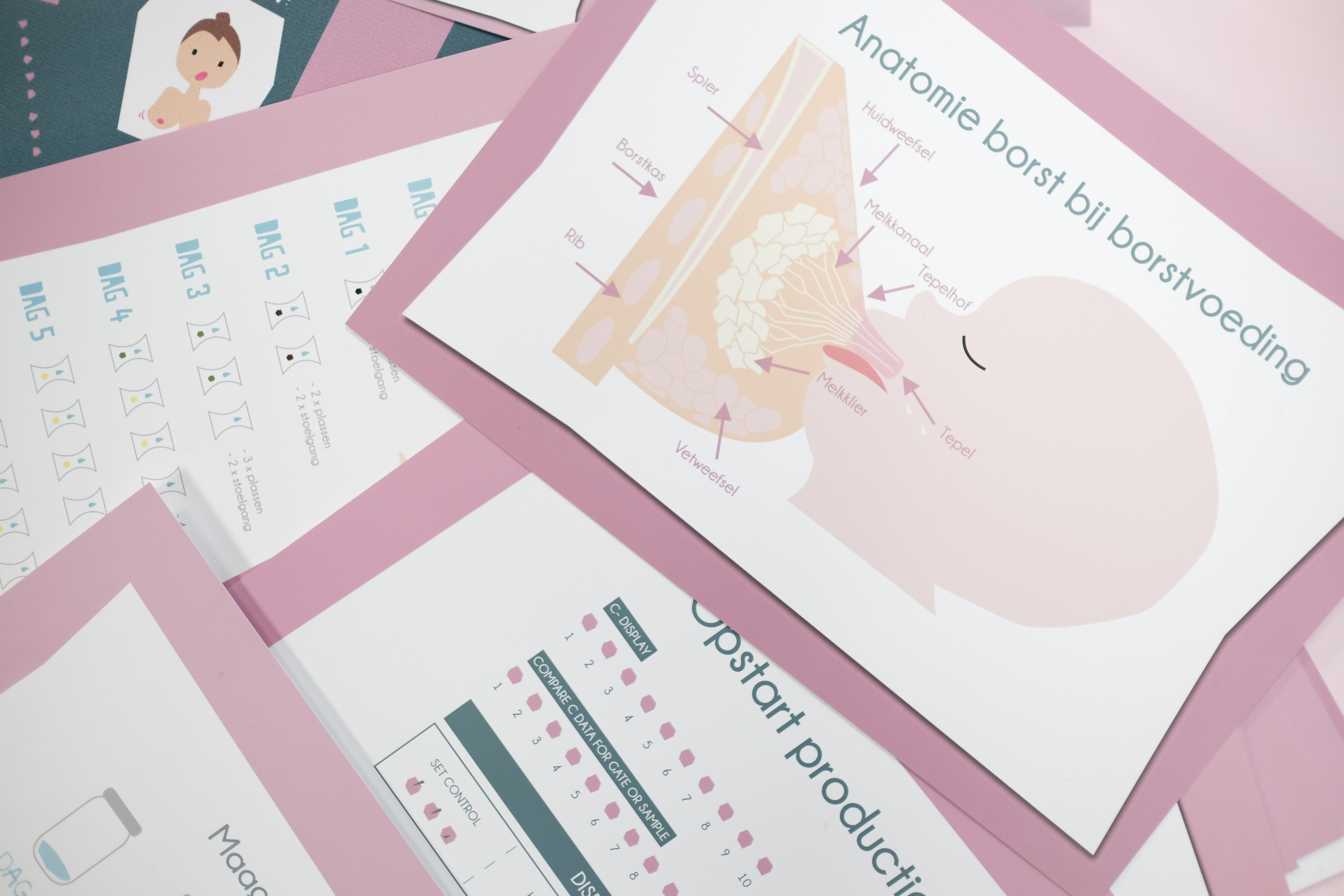 321 Start met Borstvoeding DELUXE