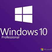 Microsoft Windows 10 Professional 64-bit