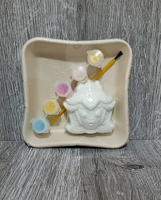 Princess Paint Your Own Bath Bomb