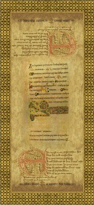 Rinascimento Tarocchi Card Back (Limited Edition Tarot Print)