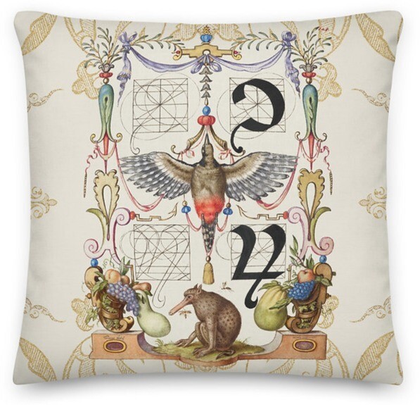 ​Tironian Notes, Pillow