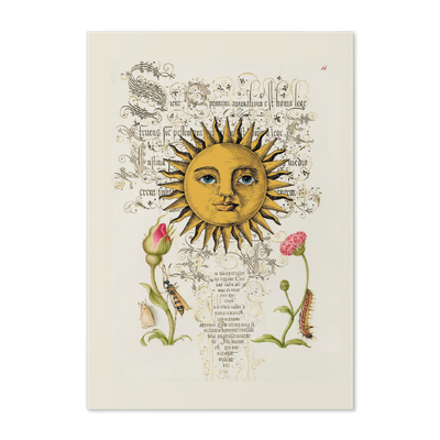 Abundance Greeting Card