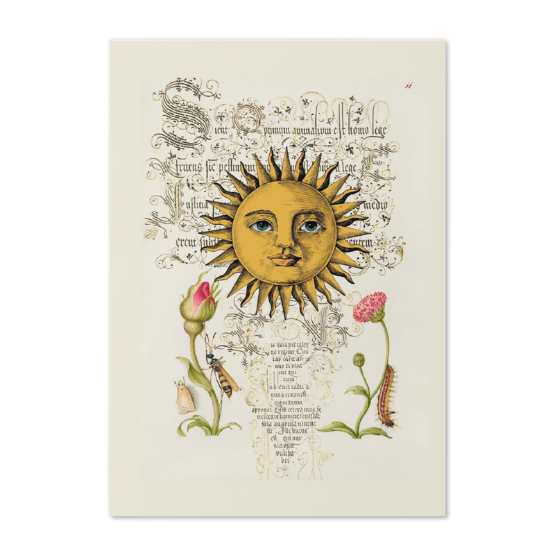 Abundance Greeting Card