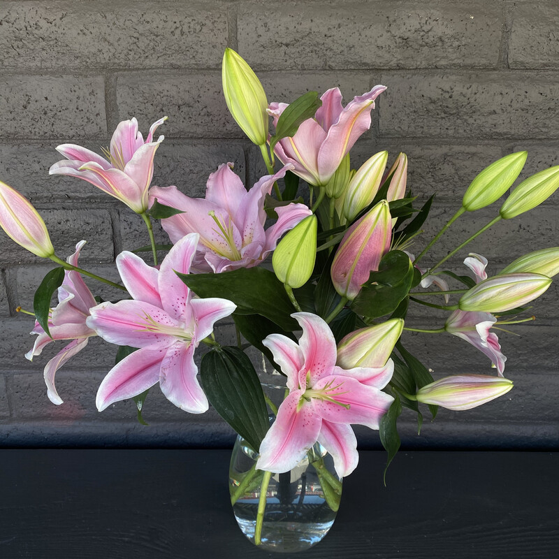 LOCAL PINK LILIES