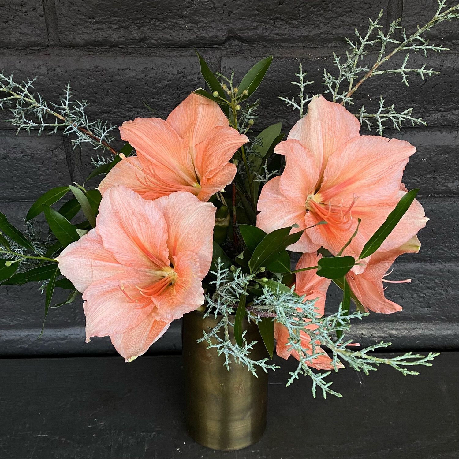 AMARYLLIS IN BRASS VASE (color options)