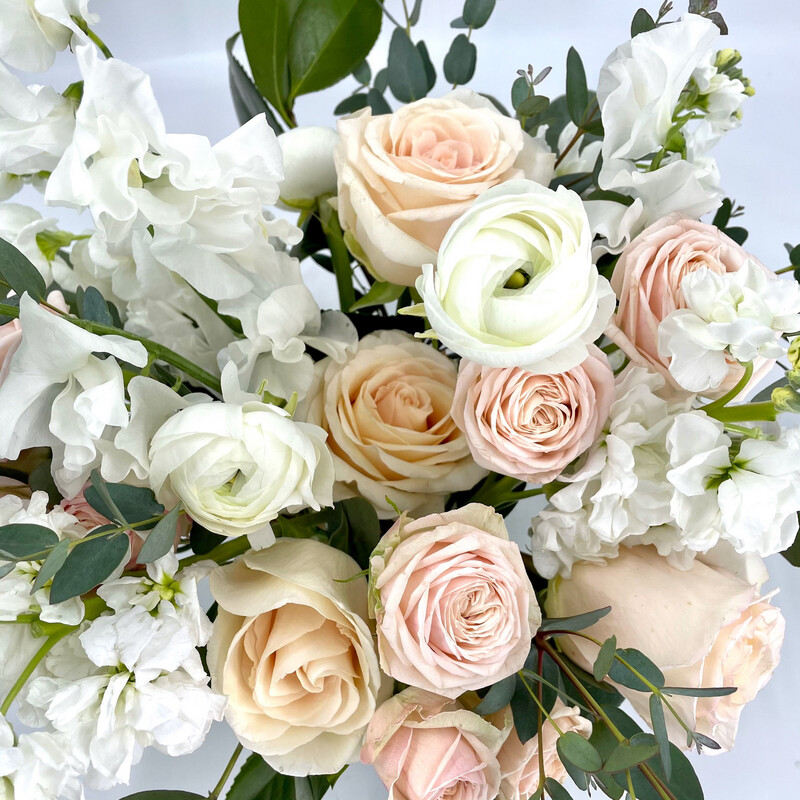 SURPRISE ME! LOVEY DOVEY