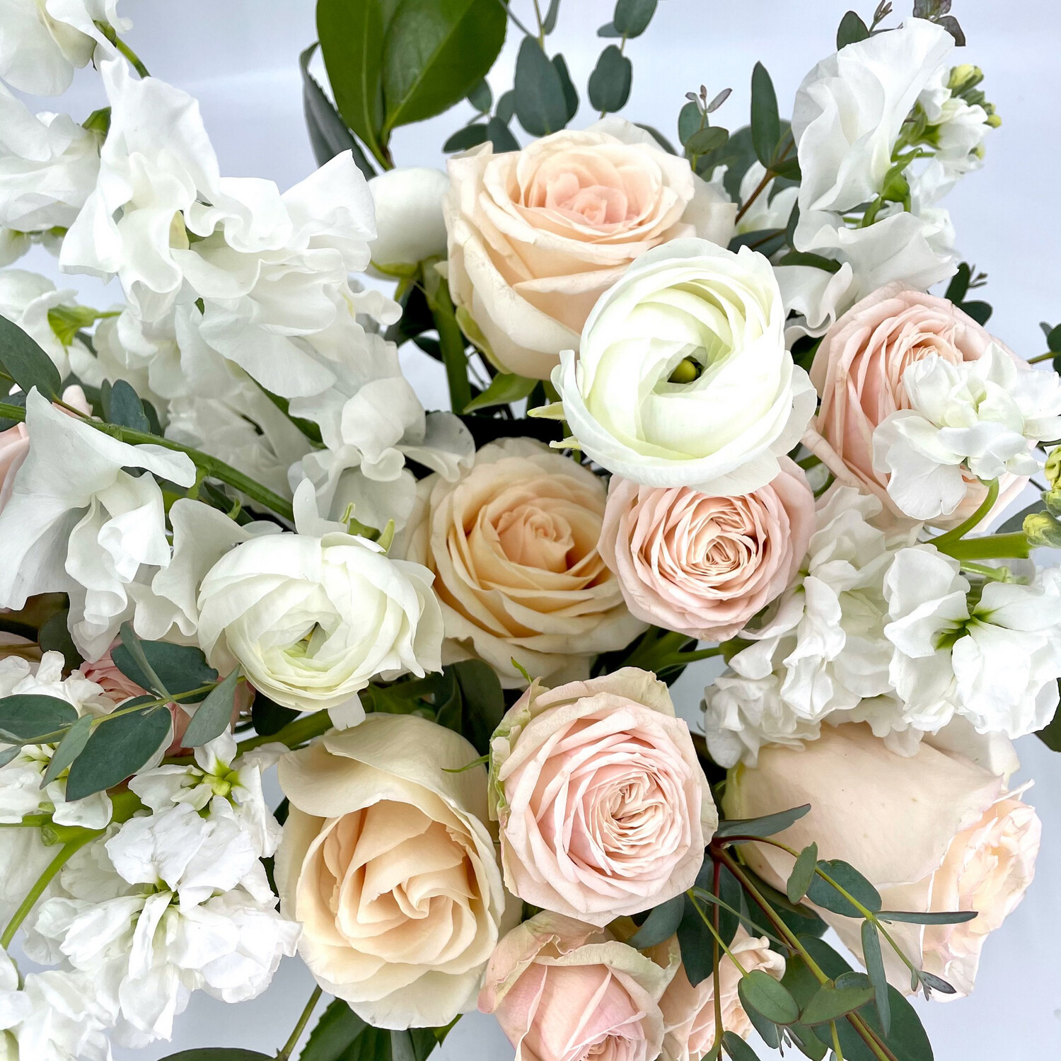 SURPRISE ME! LOVEY DOVEY