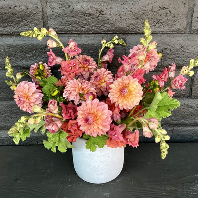 LOCAL DAHLIAS AND SNAPDRAGONS