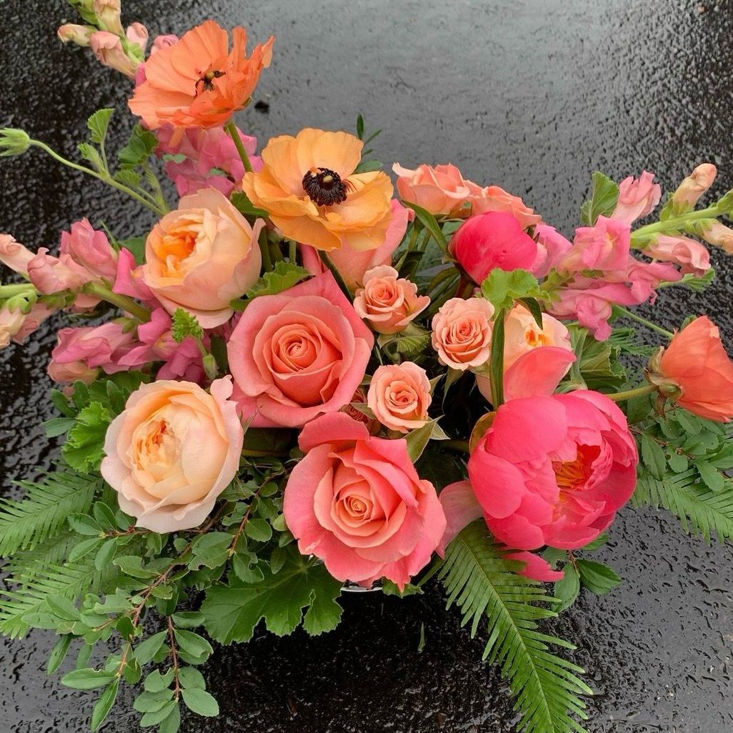 SURPRISE ME! PINKS &amp; PEACHES