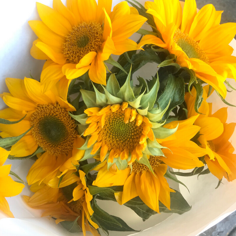SUNFLOWERS! LOOSE WRAP