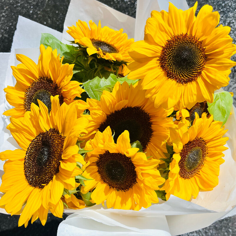 SUNFLOWERS! LOOSE WRAP