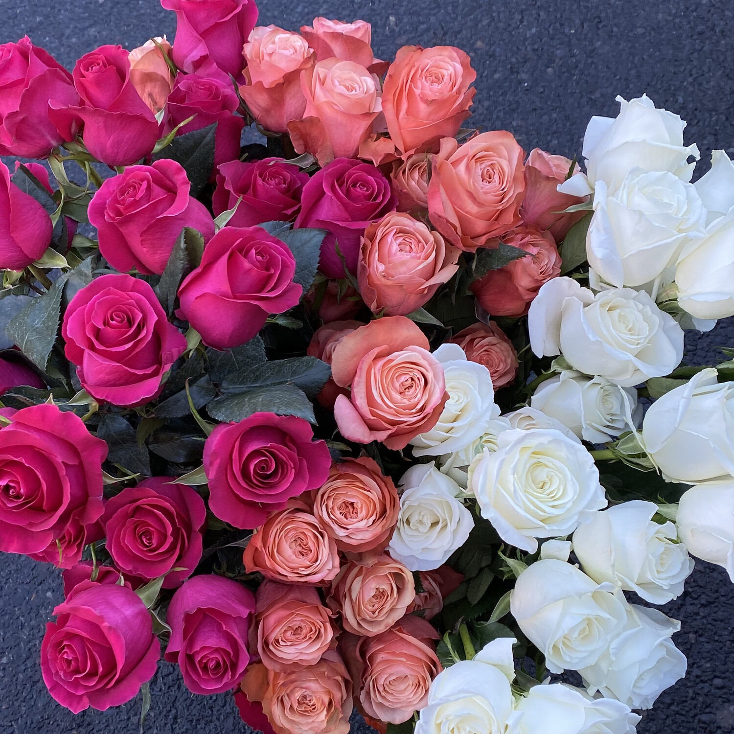 ROSES! LOOSE WRAP