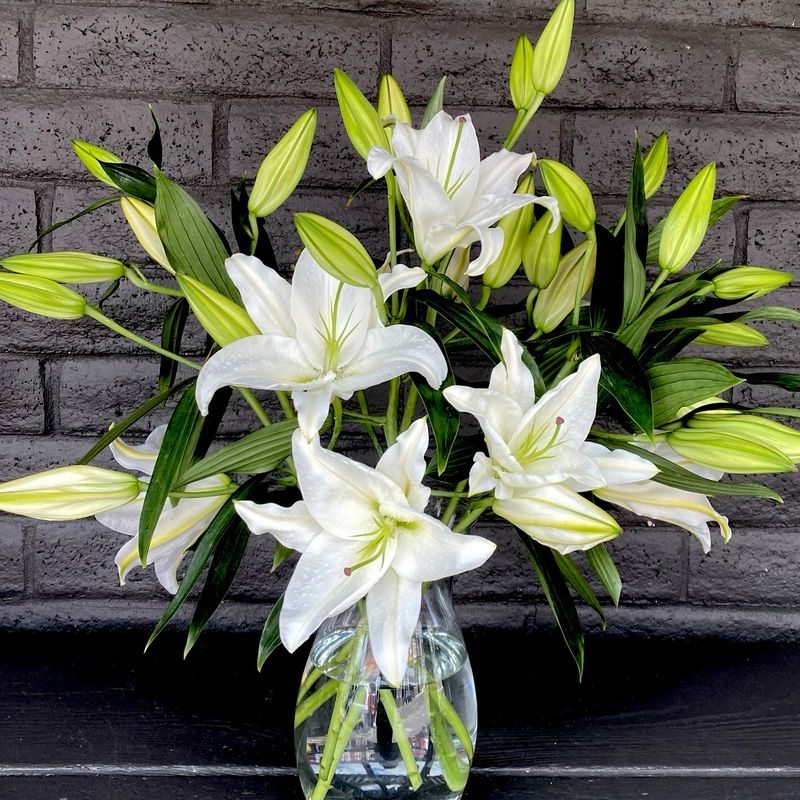 LOCAL WHITE LILIES