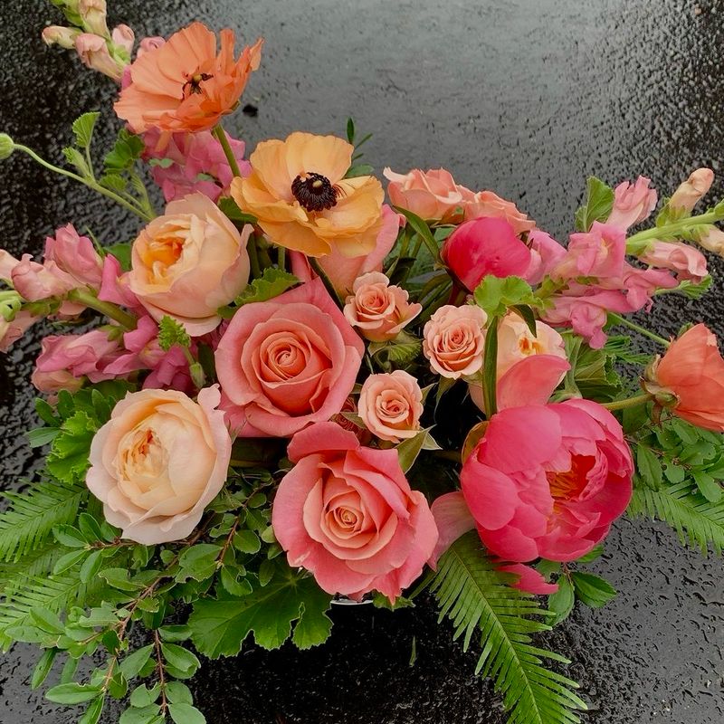 SURPRISE ME! PINKS