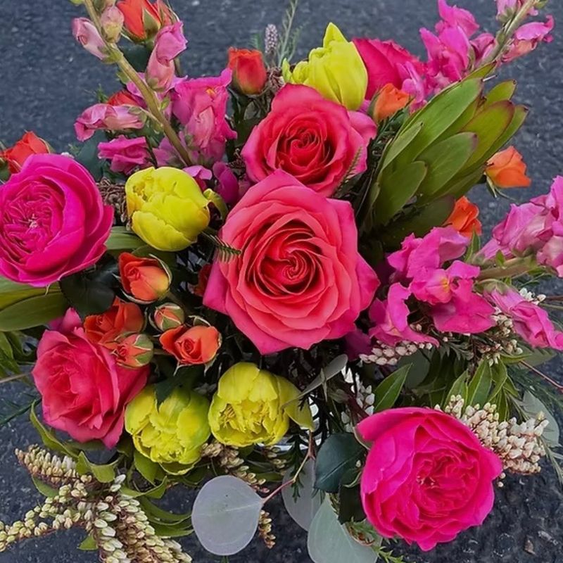 SURPRISE ME! CHEERFUL