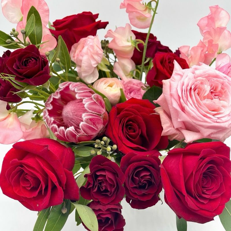 NASO X SAMMY'S FLOWERS!