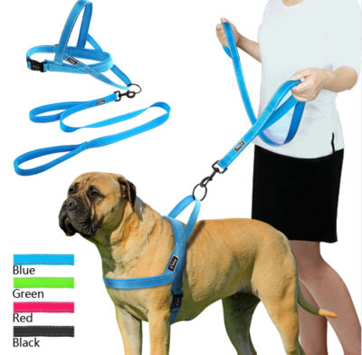 Comfy Dog Harness and lead