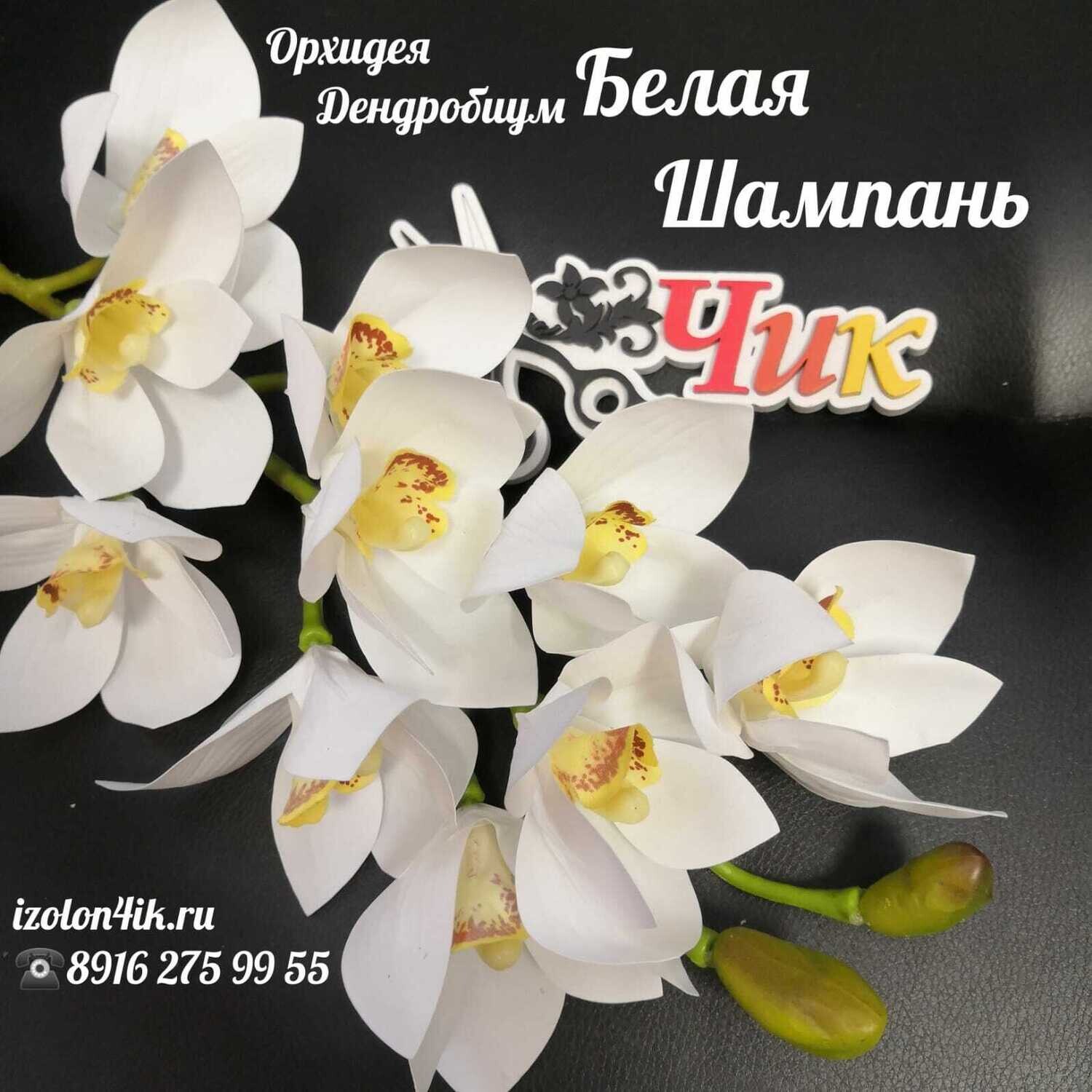ОРХИДЕЯ ДЕНДРОБИУМ ветка (Белая шампань) Д-4