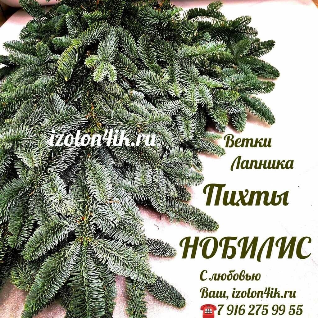 Пихта НОБИЛИС ветки лапника (4-5 кг; 10-14 веток)