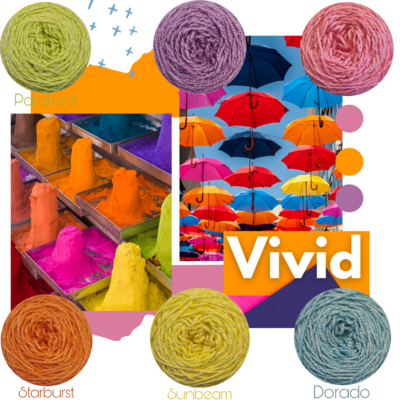 VIVID - Shimmer Palette Packs