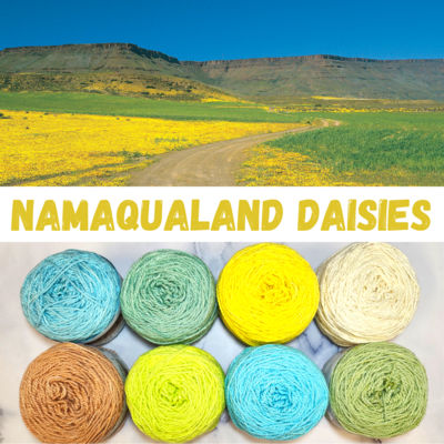 Namaqualand Double Knit Daisies Palette