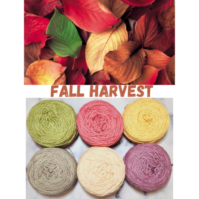 Fall Harvest Double Knit Palette