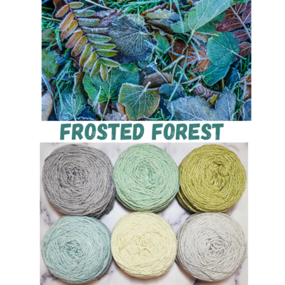 Frosted Forest Double Knit Palette
