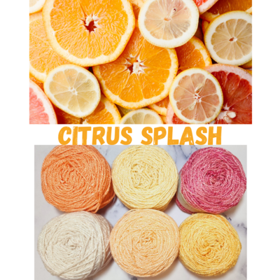 Citrus Splash Shimmer Palette