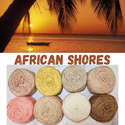 African Shores Shimmer Palette