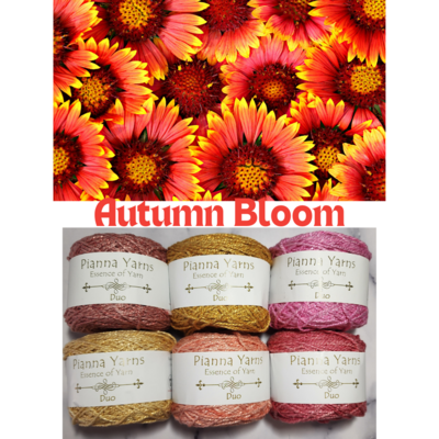 Autumn Bloom - Pianna Yarns DUO Palette Packs