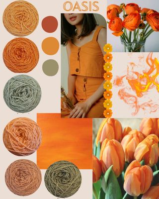 OASIS - Shimmer Palette Packs