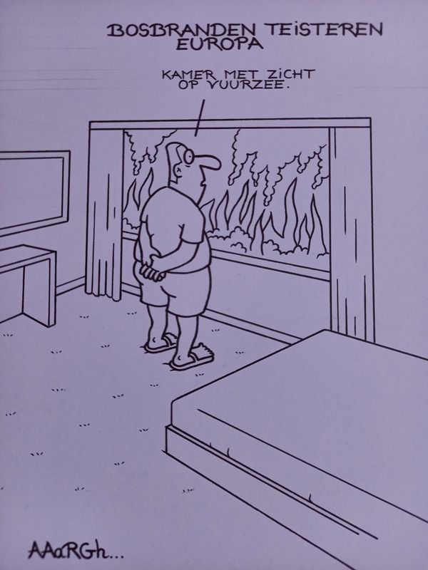 Originele cartoon uit 'Waan': Bosbranden
