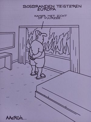 Originele cartoon uit 'Waan': Bosbranden