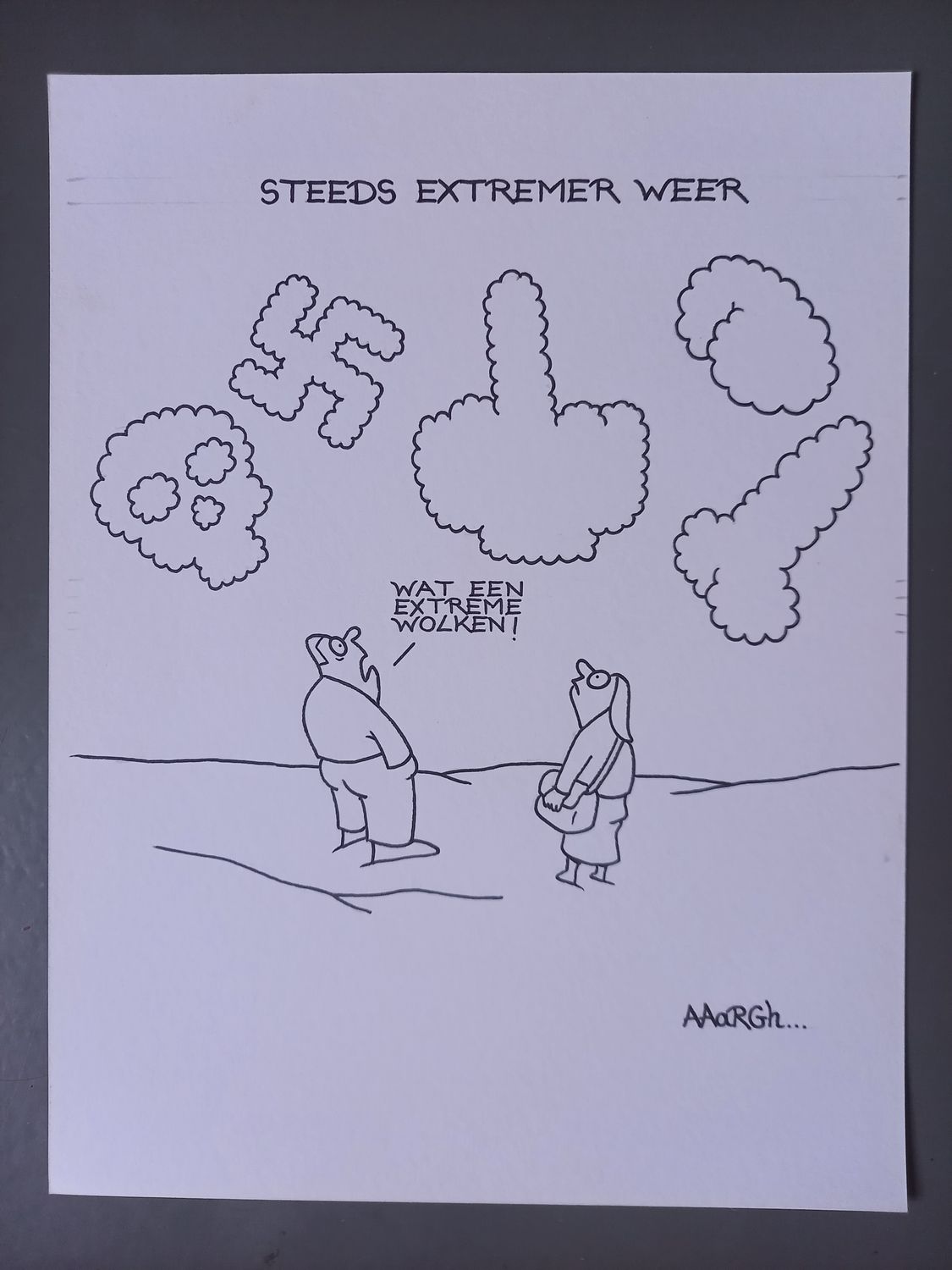 Originele cartoon: Extreem weer